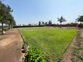 Foto 5 de Terreno en venta en Quilmaná – Tu refugio ideal en el Valle de Cañete