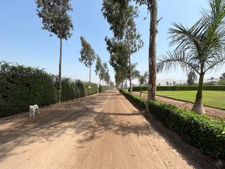 Foto 6 de Terreno en venta en Quilmaná – Tu refugio ideal en el Valle de Cañete