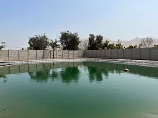 Foto 7 de Terreno en venta en Quilmaná – Tu refugio ideal en el Valle de Cañete