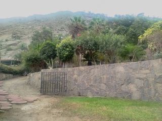 Foto 23 de ALQUILER DE CASA DE CAMPO EN CHOSICA