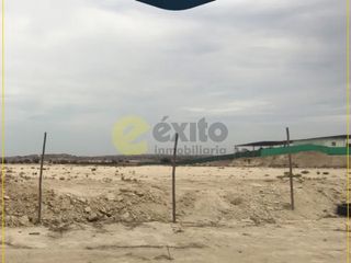 Foto 1 de VENDO TERRENO DE 3 HECTAREAS CARRETERA PIURA PAITA