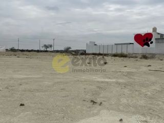 Foto 2 de VENDO TERRENO DE 3 HECTAREAS CARRETERA PIURA PAITA