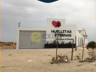 Foto 5 de VENDO TERRENO DE 3 HECTAREAS CARRETERA PIURA PAITA