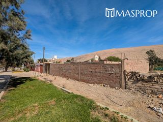 Foto 6 de 🌺 Tu refugio soñado de 1100m2 en el corazón del valle de Pachia-Tacna 🏡🌳🌱 Casa de campo