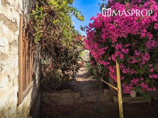 Foto 2 de 🌺 Tu refugio soñado de 1100m2 en el corazón del valle de Pachia-Tacna 🏡🌳🌱 Casa de campo