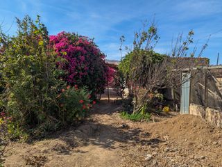 Foto 7 de 🌺 Tu refugio soñado de 1100m2 en el corazón del valle de Pachia-Tacna 🏡🌳🌱 Casa de campo