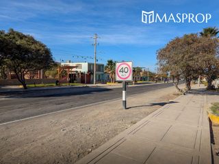 Foto 8 de 🌺 Tu refugio soñado de 1100m2 en el corazón del valle de Pachia-Tacna 🏡🌳🌱 Casa de campo