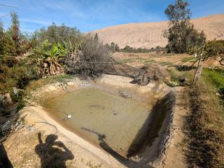 Foto 41 de 🌺 Tu refugio soñado de 1100m2 en el corazón del valle de Pachia-Tacna 🏡🌳🌱 Casa de campo