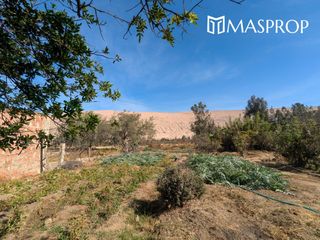 Foto 43 de 🌺 Tu refugio soñado de 1100m2 en el corazón del valle de Pachia-Tacna 🏡🌳🌱 Casa de campo