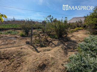 Foto 45 de 🌺 Tu refugio soñado de 1100m2 en el corazón del valle de Pachia-Tacna 🏡🌳🌱 Casa de campo