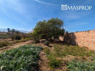Foto 47 de 🌺 Tu refugio soñado de 1100m2 en el corazón del valle de Pachia-Tacna 🏡🌳🌱 Casa de campo