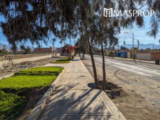 Foto 49 de 🌺 Tu refugio soñado de 1100m2 en el corazón del valle de Pachia-Tacna 🏡🌳🌱 Casa de campo