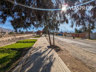 Foto 51 de 🌺 Tu refugio soñado de 1100m2 en el corazón del valle de Pachia-Tacna 🏡🌳🌱 Casa de campo
