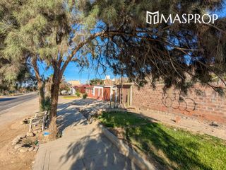 Foto 53 de 🌺 Tu refugio soñado de 1100m2 en el corazón del valle de Pachia-Tacna 🏡🌳🌱 Casa de campo