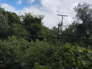 Foto 4 de Casa en Limatambo ideal para Hotel o Airbnb + Cultivos de Palta, Limón y más