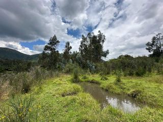 Foto 4 de En Venta Hermoso Lote Terreno 20.000 m2 La Merced -  Valle de los Chillos