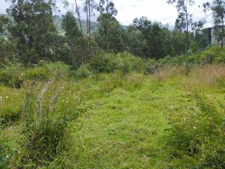 Foto 2 de En Venta Hermoso Lote Terreno 20.000 m2 La Merced -  Valle de los Chillos