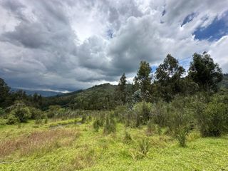 Foto 5 de En Venta Hermoso Lote Terreno 20.000 m2 La Merced -  Valle de los Chillos
