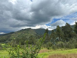 Foto 11 de En Venta Hermoso Lote Terreno 20.000 m2 La Merced -  Valle de los Chillos