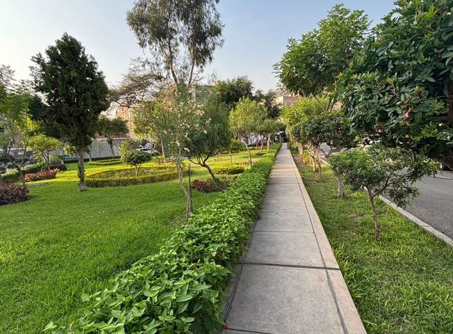 place photo 31