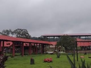 Foto 5 de SE ALQUILA FINCA PARA REUNIONES FAMILIARES Y EMPRESARIALES VIA A TIMBIO