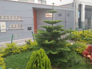 Foto 10 de DEPARTAMENTO EN VENTA BREÑA