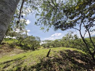 Foto 2 de Lote En San Jerónimo, V. De Loma Hermosa | Escritura Lista En La Zona +TOP y Segura Del Occidente Antioqueño