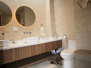Foto 16 de EL DEPARTAMENTO QUE LO TIENE TODO – UBICACIÓN, DISEÑO Y ENCANTO 🔑✨