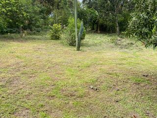Foto 5 de FN10 SE VENDE HERMOSA Y ESPACIOSA FINCA CAMPO ALEGRE ANDALUCÍA