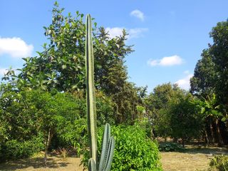 Foto 3 de FN10 SE VENDE HERMOSA Y ESPACIOSA FINCA CAMPO ALEGRE ANDALUCÍA