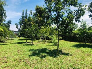 Foto 4 de FN10 SE VENDE HERMOSA Y ESPACIOSA FINCA CAMPO ALEGRE ANDALUCÍA