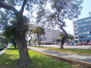 Foto 42 de OPORTUNIDAD DE INVERSIÓN!! SE VENDE CASA COMO TERRENO O LOCAL COMERCIAL, ZONIFICACIÓN RDA COMPATIBLE CON CZ EN AV. SALAVERRY, JESÚS MARÍA