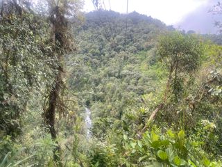 Foto 2 de Terreno  en Venta  de  8 Hectáreas en Mindo. Ecuador.