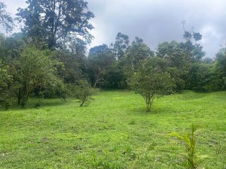 Foto 7 de Terreno  en Venta  de  8 Hectáreas en Mindo. Ecuador.