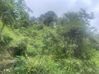 Foto 4 de Terreno  en Venta  de  8 Hectáreas en Mindo. Ecuador.