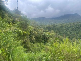 Foto 1 de Terreno  en Venta  de  8 Hectáreas en Mindo. Ecuador.