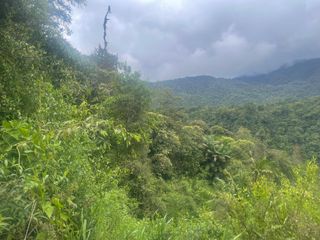 Foto 5 de Terreno  en Venta  de  8 Hectáreas en Mindo. Ecuador.