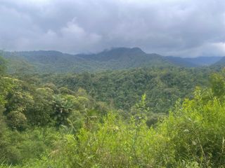 Foto 6 de Terreno  en Venta  de  8 Hectáreas en Mindo. Ecuador.