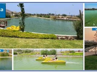 Foto 2 de VENTA DE TERRENO DE CAMPO EN ASIA