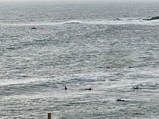 Foto 22 de Departamento Dos Dormitorios Amoblado A Una Cuadra De La Playa Como Nuevo