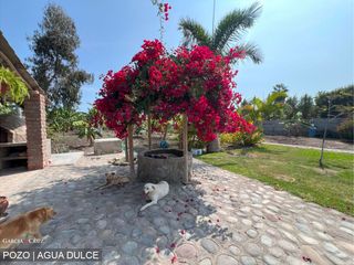 Foto 6 de CASA DE CAMPO EN VENTA, MALA, CAÑETE, LIMA