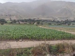 Foto 2 de Venta de terreno para recreación o  esparcimiento en canta