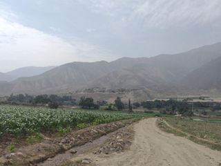 Foto 3 de Venta de terreno para recreación o  esparcimiento en canta