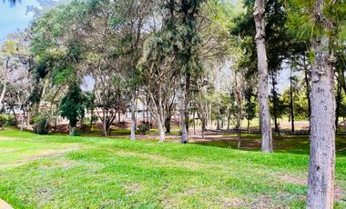 place photo 56