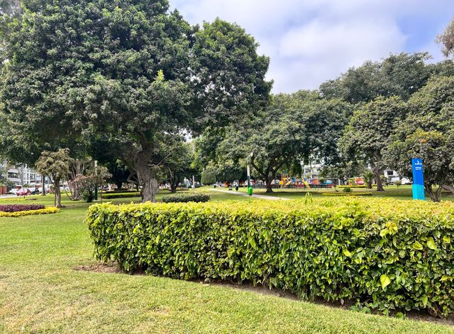 place photo 26