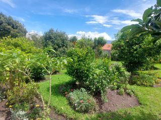 Foto 23 de QUINTA EN VENTA 2100m2, UBICADA EN EL VALLE DE LOS CHILLOS
