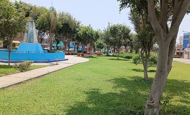 place photo 28