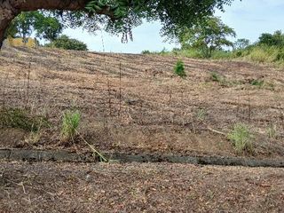 Foto 3 de Venta de terreno en Urbanización Lomas del Bosque