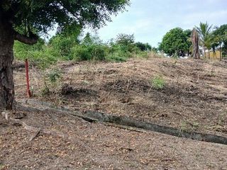 Foto 6 de Venta de terreno en Urbanización Lomas del Bosque