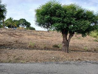 Foto 7 de Venta de terreno en Urbanización Lomas del Bosque